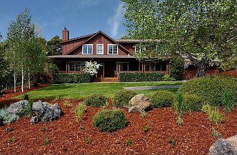 Front :: 63 Wild Iris