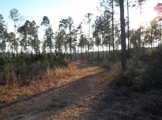 365 Jess Williams Rd, Poplarville, MS 39470