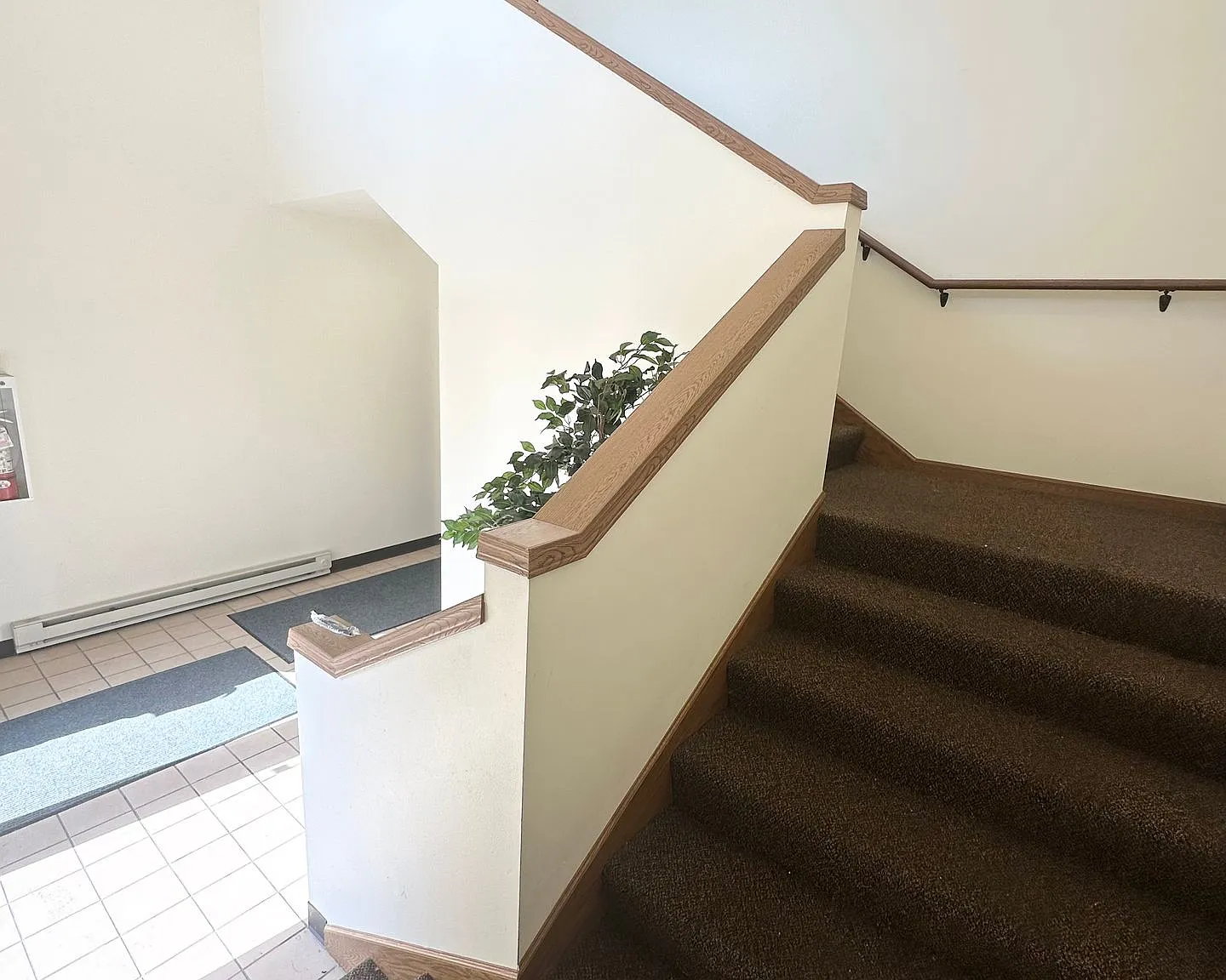 3 bed, 900 sqft, $1,400 — Photo 3