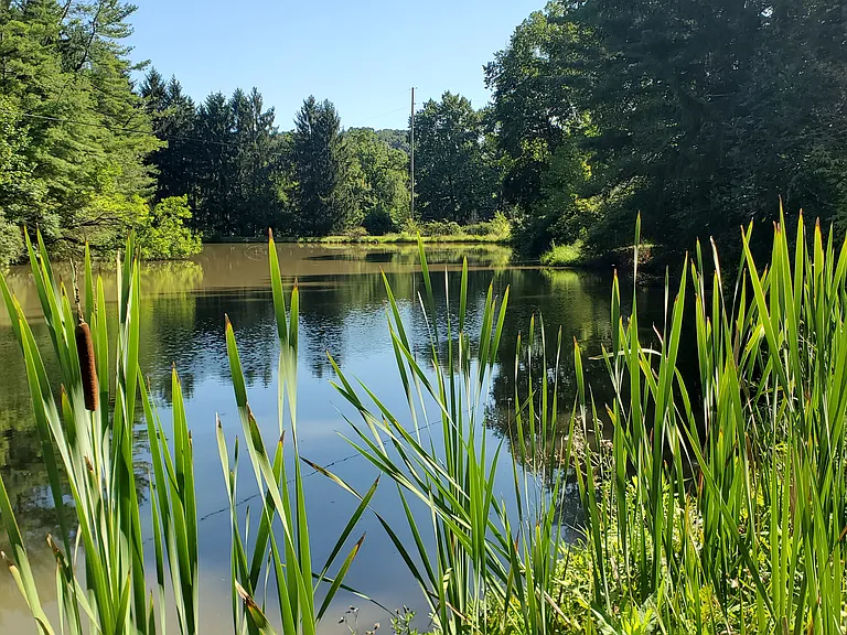 220 Streamside Ln #220 — Photo 3