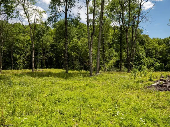 LOT 12 Lake Island Dr, Belington, WV 26250