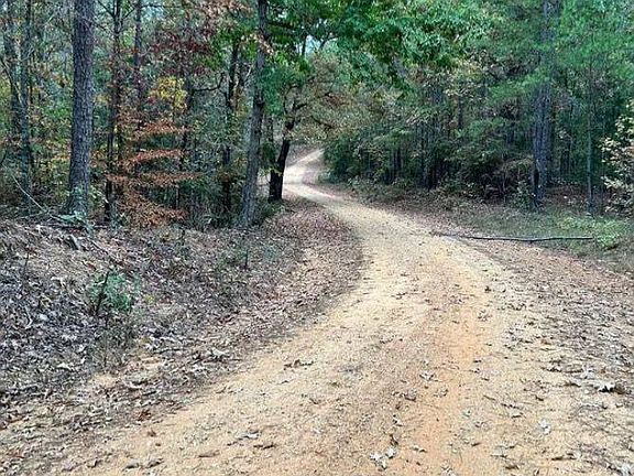 3rd image of 0 Buck Jackson Road New Church Rd