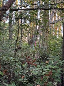3000 Rosecrans, Pt Townsend, WA, 98368