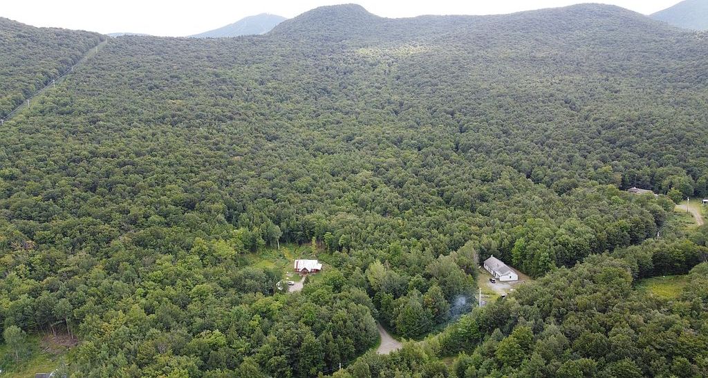 1445 Stevens Mill Rd - Property Image
