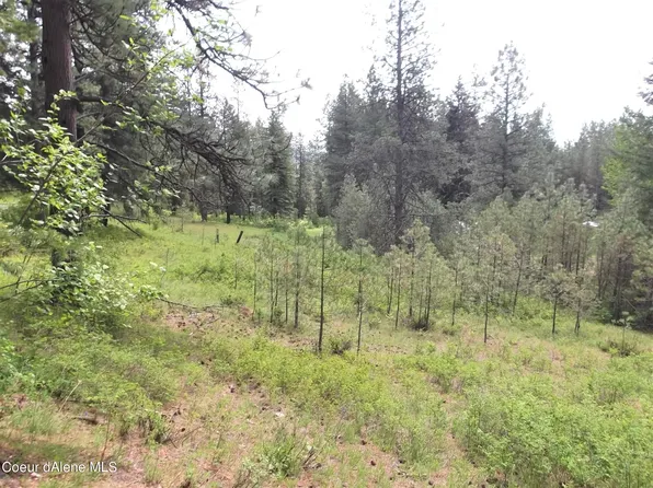 Nna Dazyduck Ct, Rathdrum, ID 83858