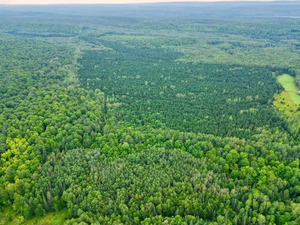 Near Woodlawn Rd, Crandon, WI 54520