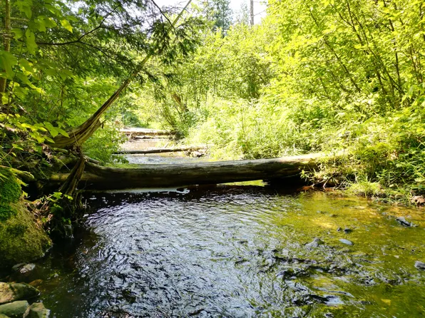 Lot 8 Dirty Glove Road, Springfield, ME 04487