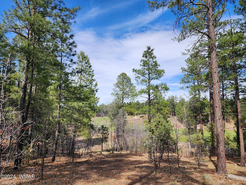 2nd image of 3950 Shaggy Bark Rd
