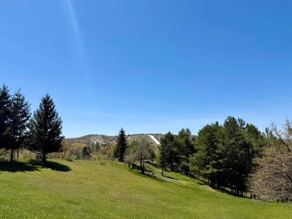 LOT Boyne View Pass #A, Boyne Falls, MI 49713