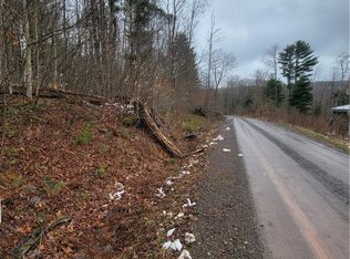 0 Schlafer Rd #19, Bainbridge, NY 13733