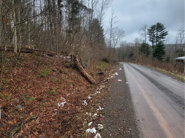 0 Schlafer Rd #19, Bainbridge, NY 13733