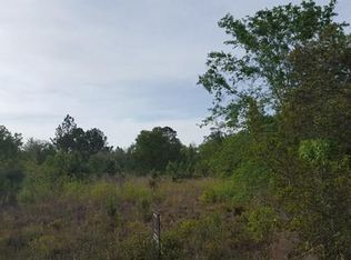 1079 Chicora Rd, Waynesville, GA 31566