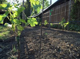 1825 Humboldt St, Santa Rosa, CA 95404