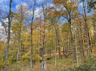0 Fiddlehead Ln, Austerlitz, NY 12017