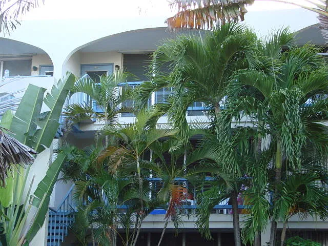 40 Orange Grove Rd — Photo 2