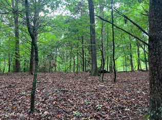 Blackberry Ridge Rd, Lenoir City, TN 37772