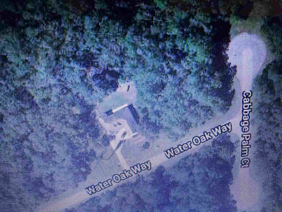 1st image of Water Oak Way
