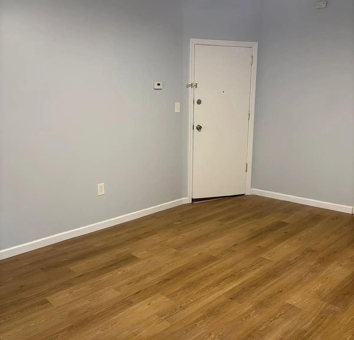 323 Elizabeth St — Photo 4
