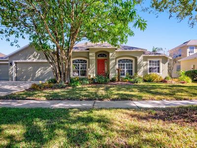 306 Carriage Oak Pl, Seffner, FL, 33584