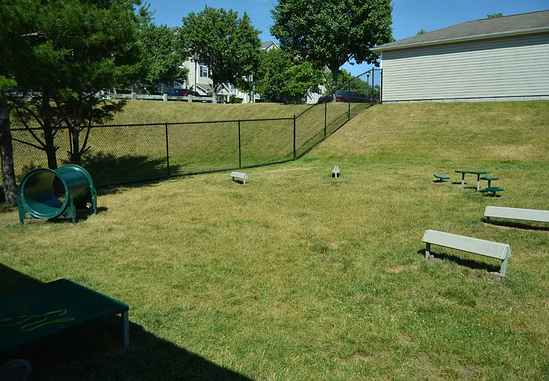 The Ledges Weymouth Dog Park