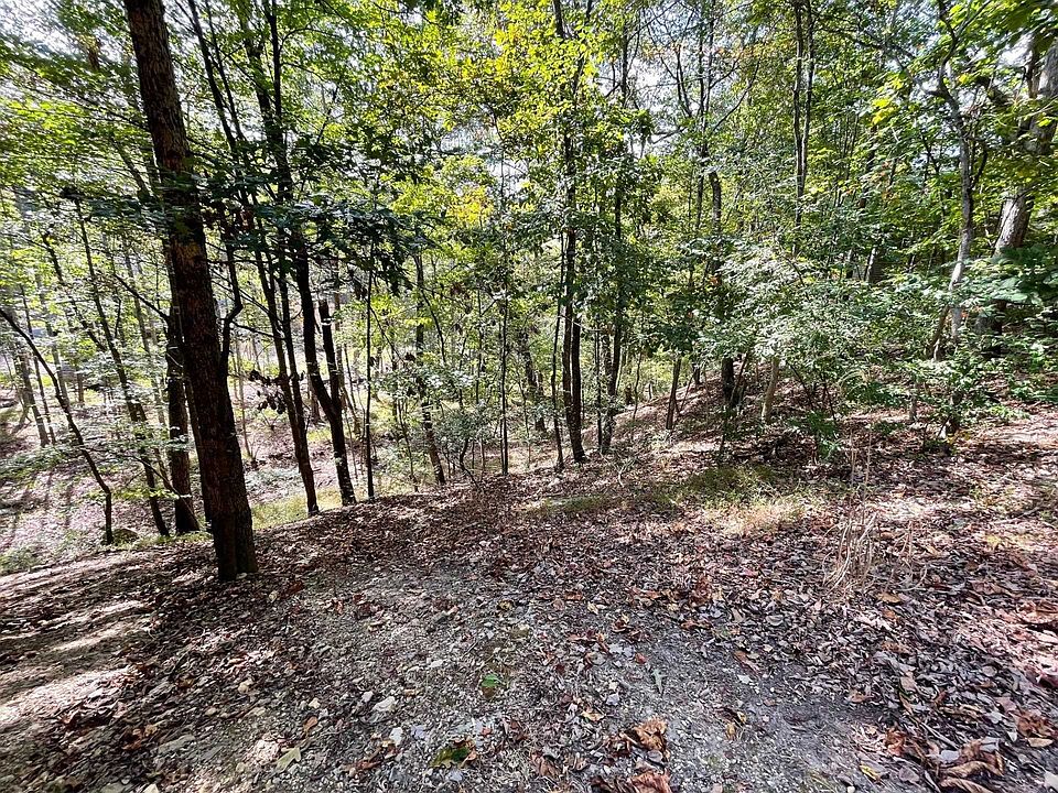 2nd image of LOT 112 Trevino Dr