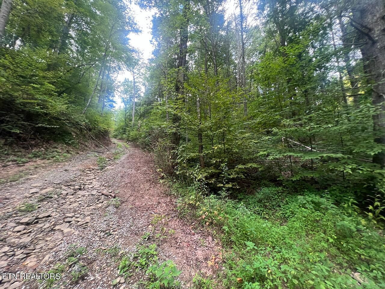 Grindstaff Rd, Hartford, TN 37753 MLS 1238427 Zillow