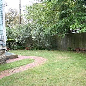 Back yard