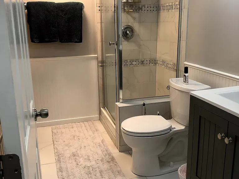 Lower level bathroom