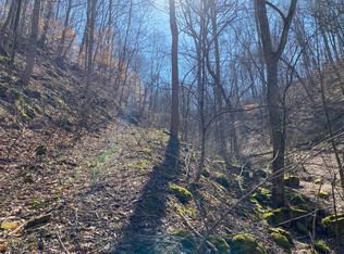 Ivy Hall Dr, Newport, TN 37821