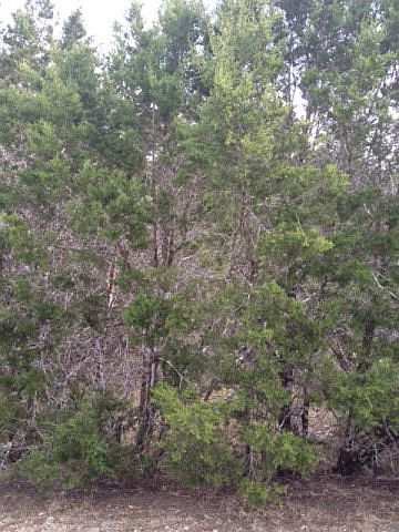 1st image of 3745 Summit Dr