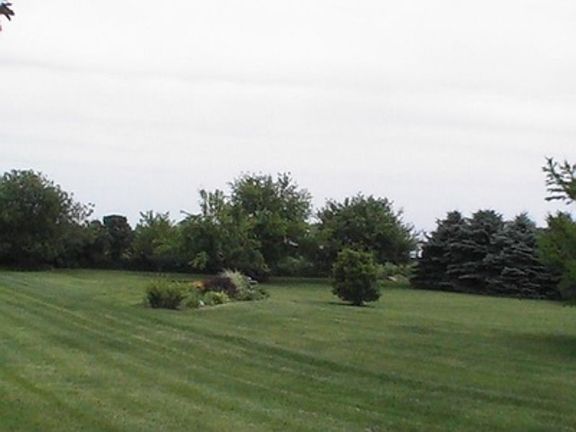 Rear Yard