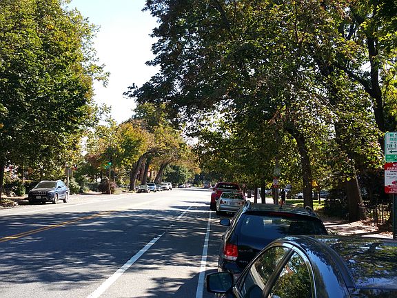View Towards Lincoln Park