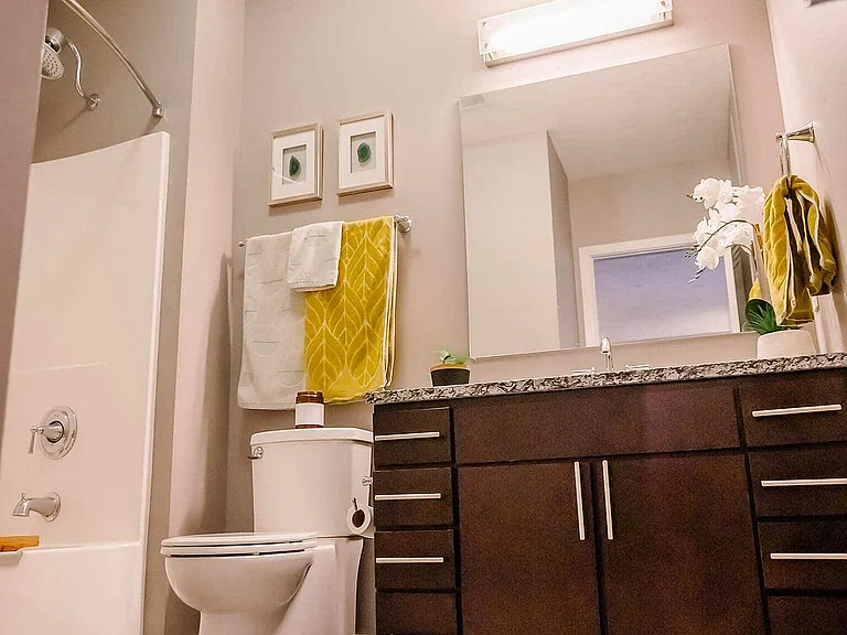 The Corvina Bathroom Layout