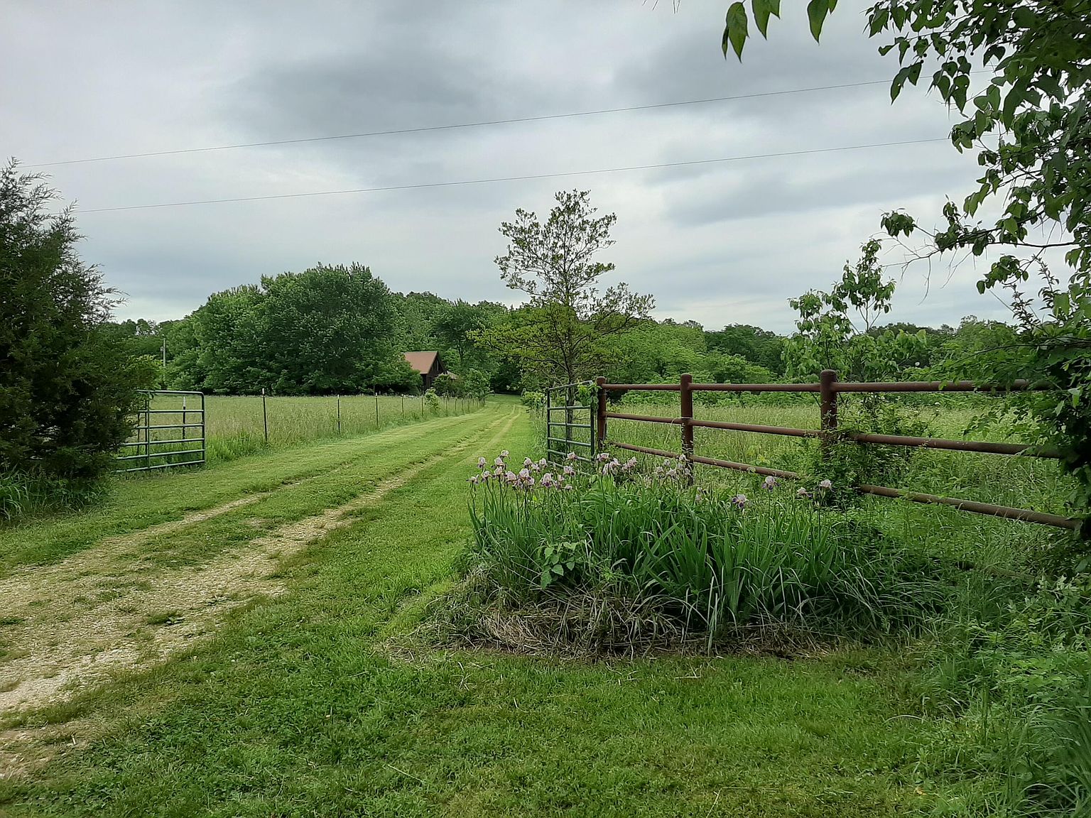 39050 County Road Ave 270, Vanzant, MO 65768 Zillow