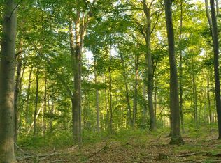 0 Milarch Rd, Bear Lake, MI 49614