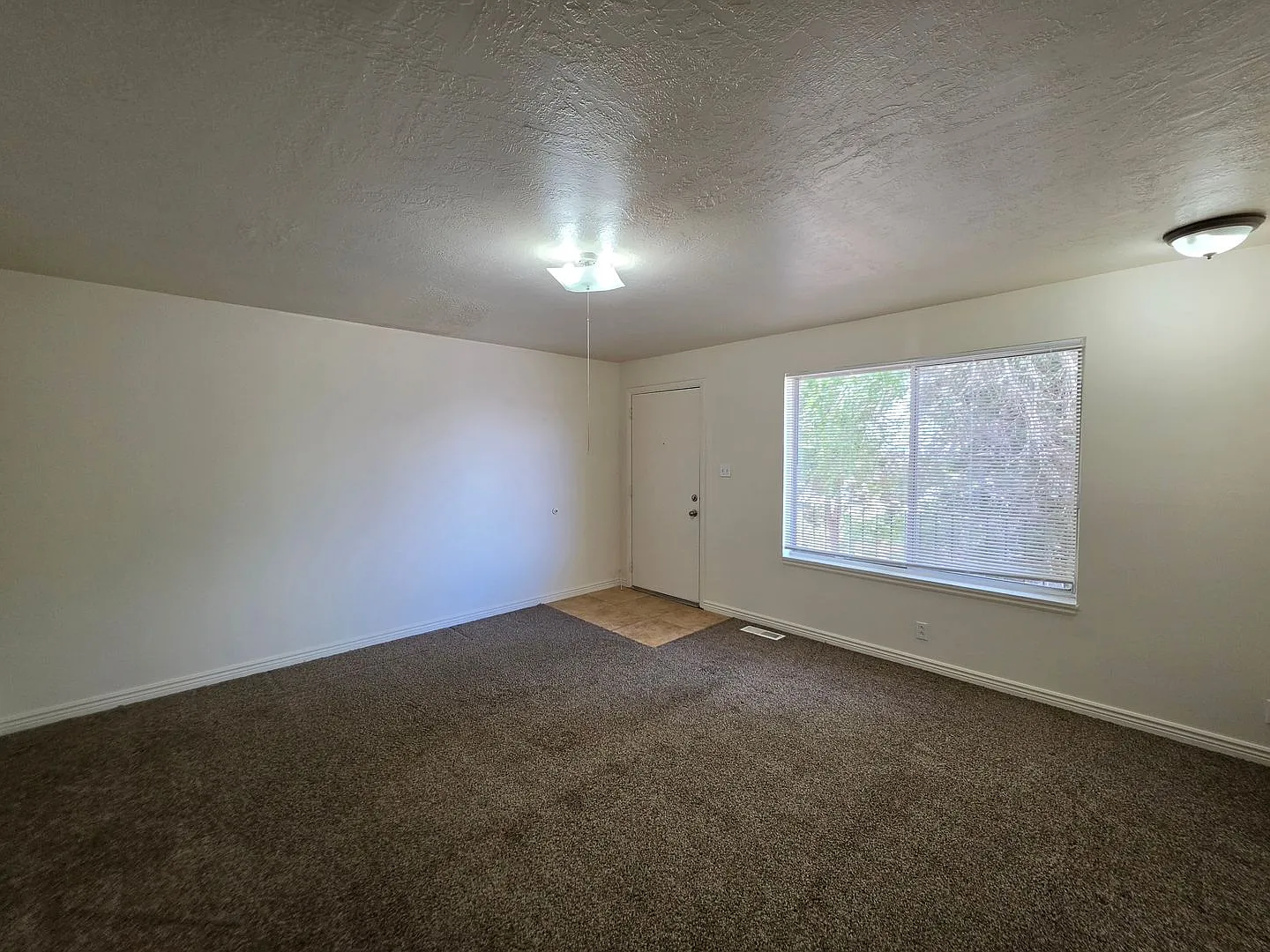 Axel305 (6Plex) — Photo 3