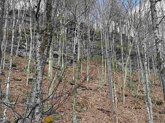 4th image of 493 Wheeler Mountain Road