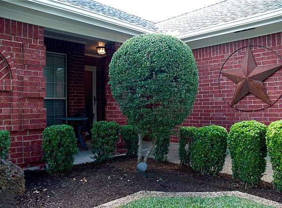 3rd image of 8028 Buttercup Cir S
