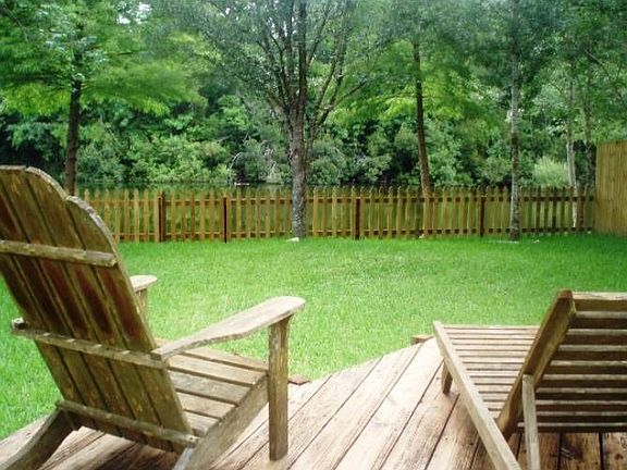 Back yard
