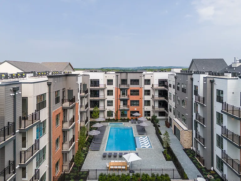 Aster Grove — Photo 36