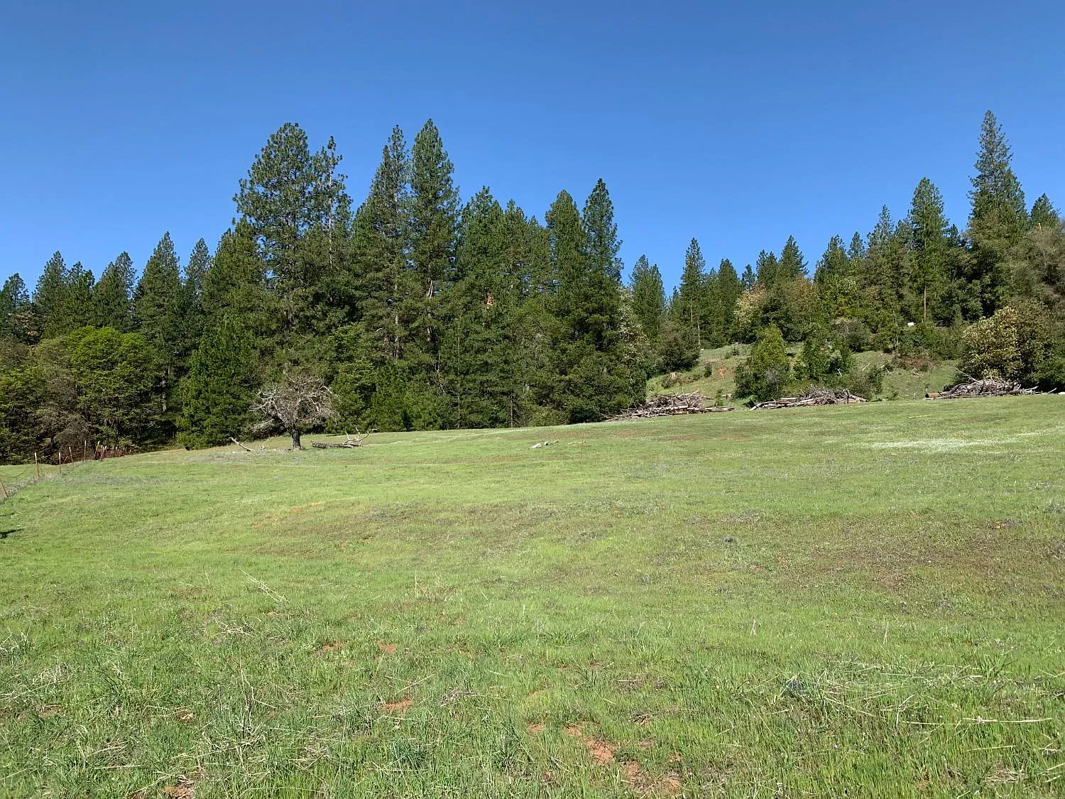 25500 Sherwood Dr photo 1