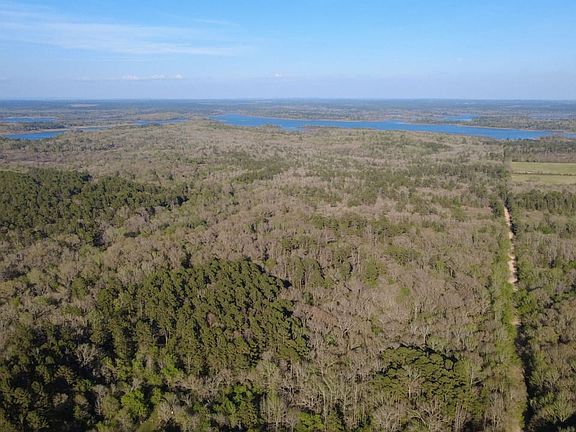 5th image of 553 Bald Eagle Rd