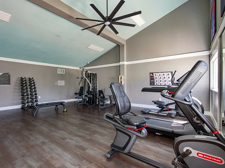 Palmera Pointe — Photo 19