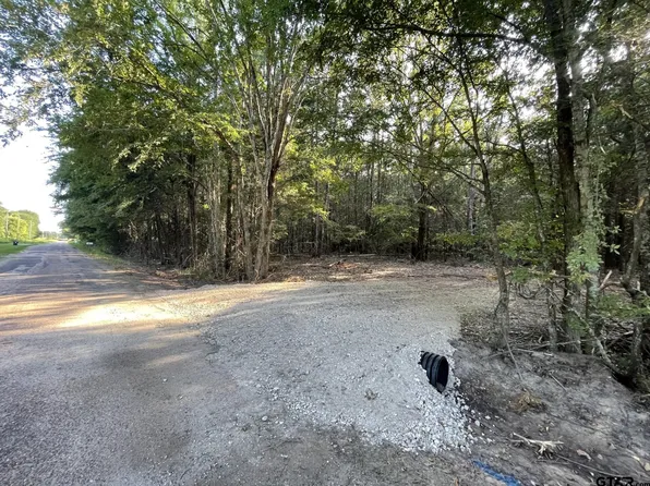 TRACT One County Rd #4908, Ben Wheeler, TX 75754