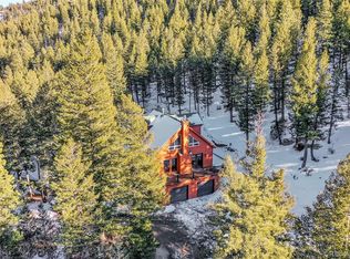 120 Capital Rd, Dumont, CO 80436