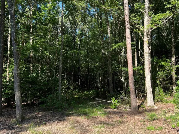 Moose Rd, Winnsboro, TX 75494