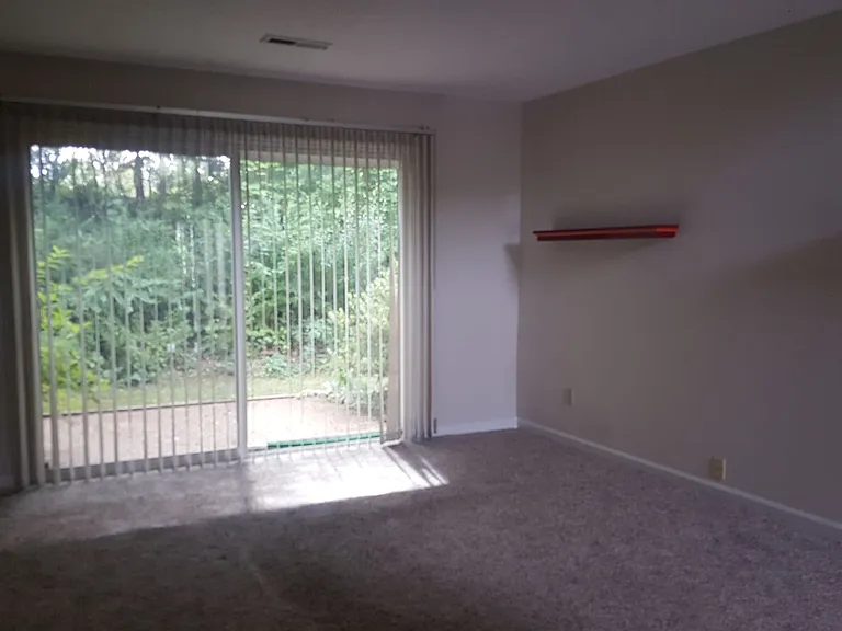 113 Silverleaf Ln — Photo 5