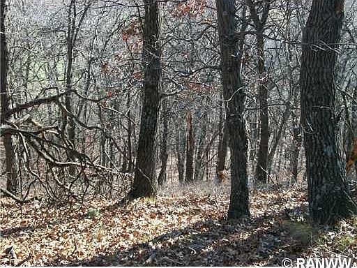 5th image of 0 Tyler Road