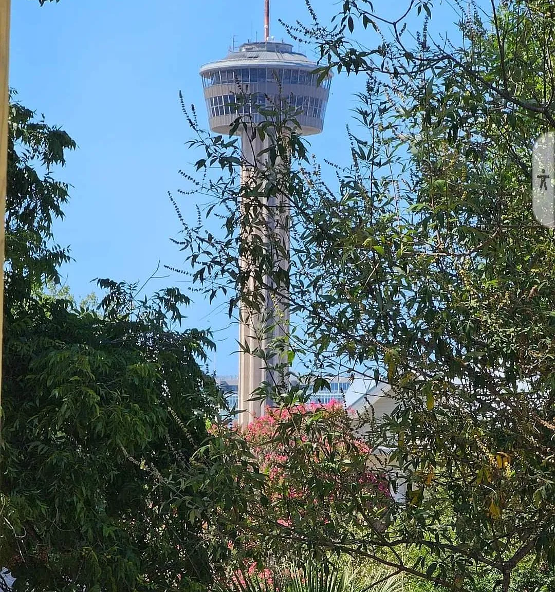 1 bed, 500 sqft, $1,150 — Photo 4