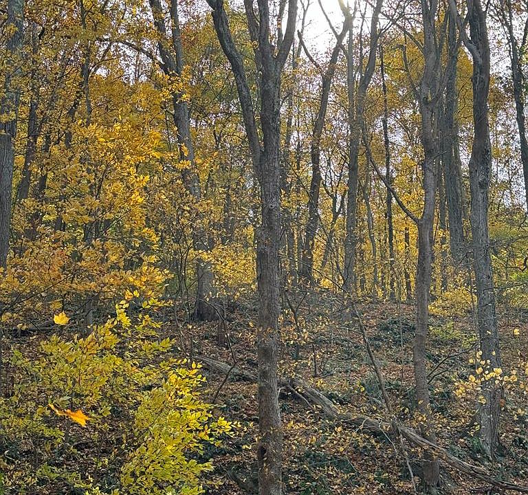 2nd image of 0 Girty's Point Road